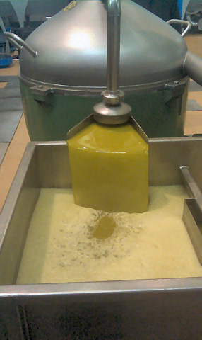 Olive Oil Production